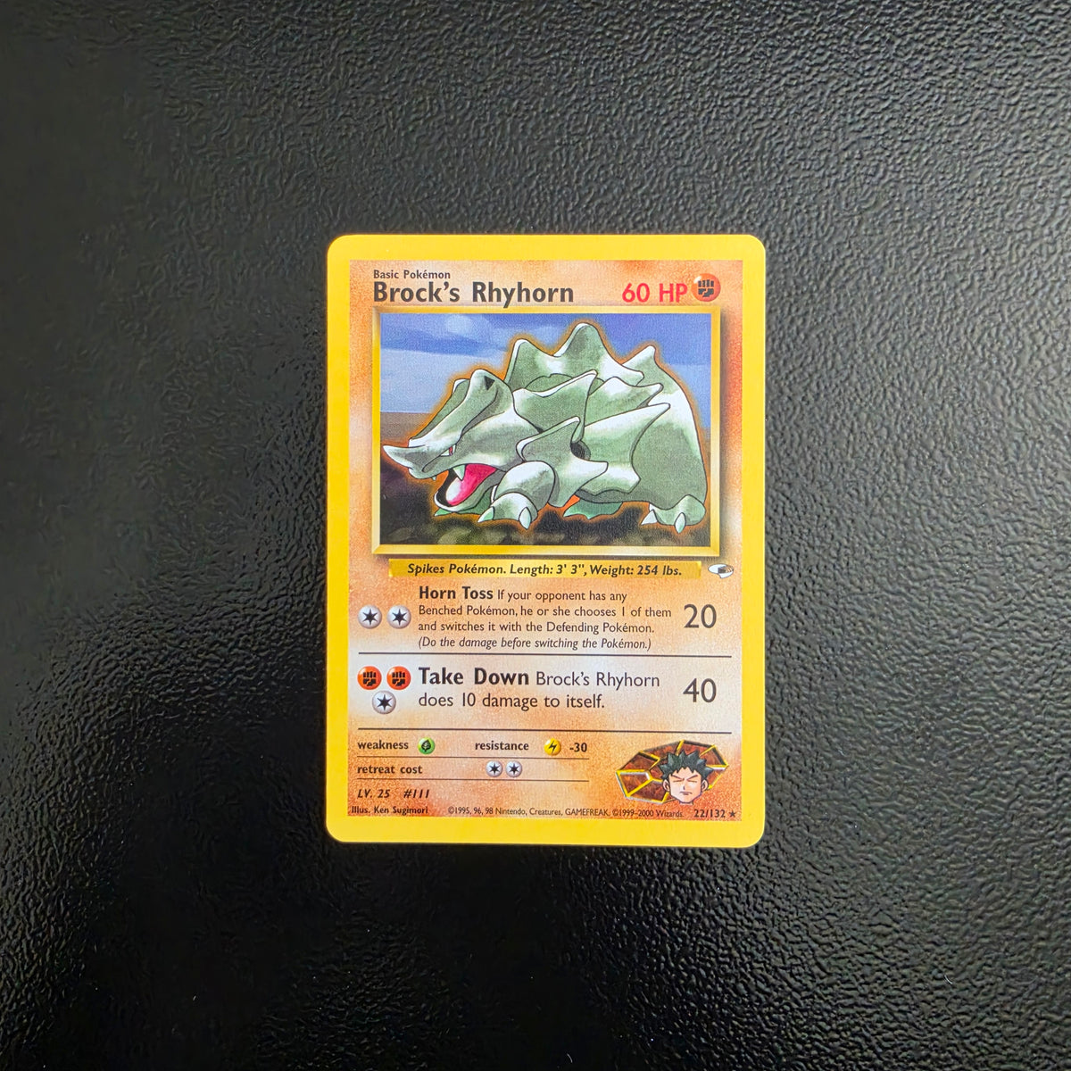 Brock's Rhyhorn
