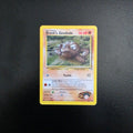 Brock's Geodude