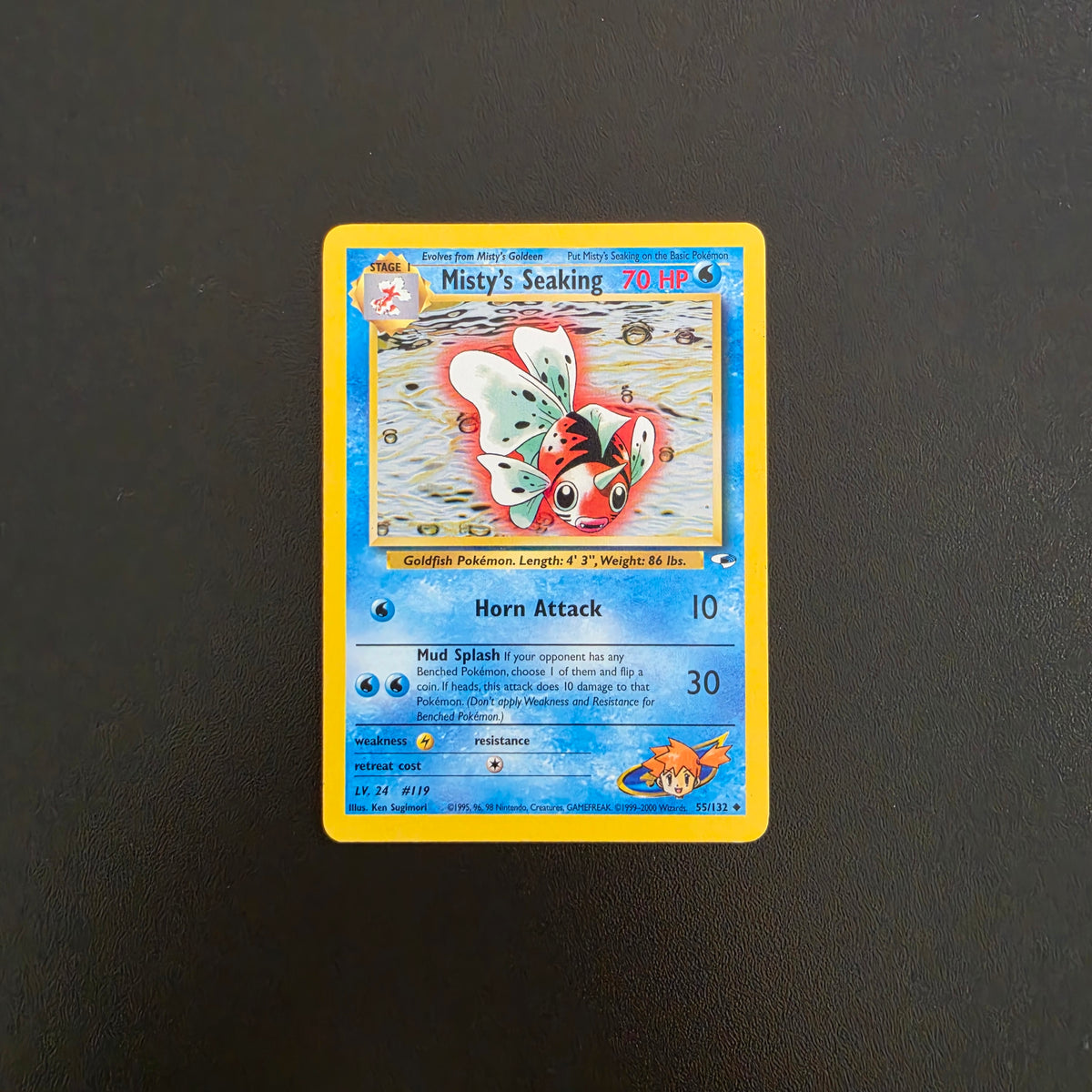 Misty's Seaking
