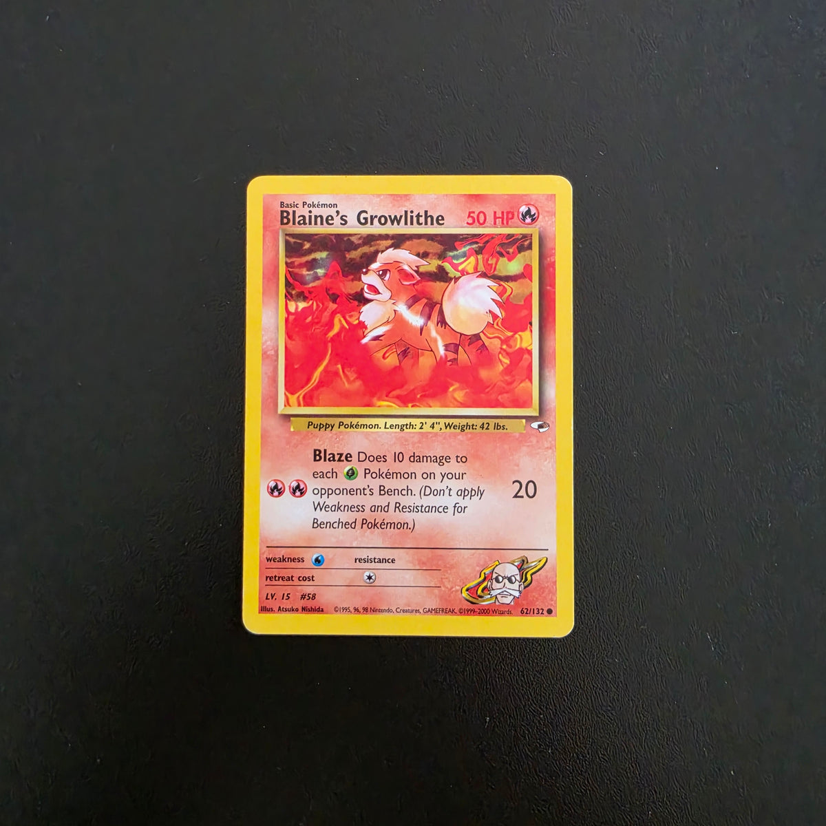 Blaine's Growlithe