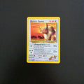 Blaine's Tauros