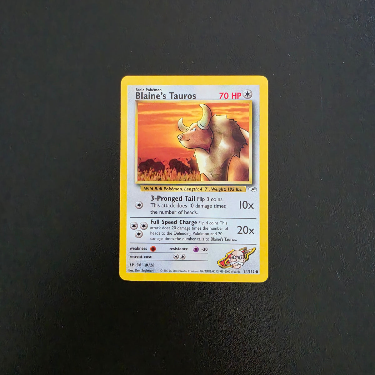 Blaine's Tauros