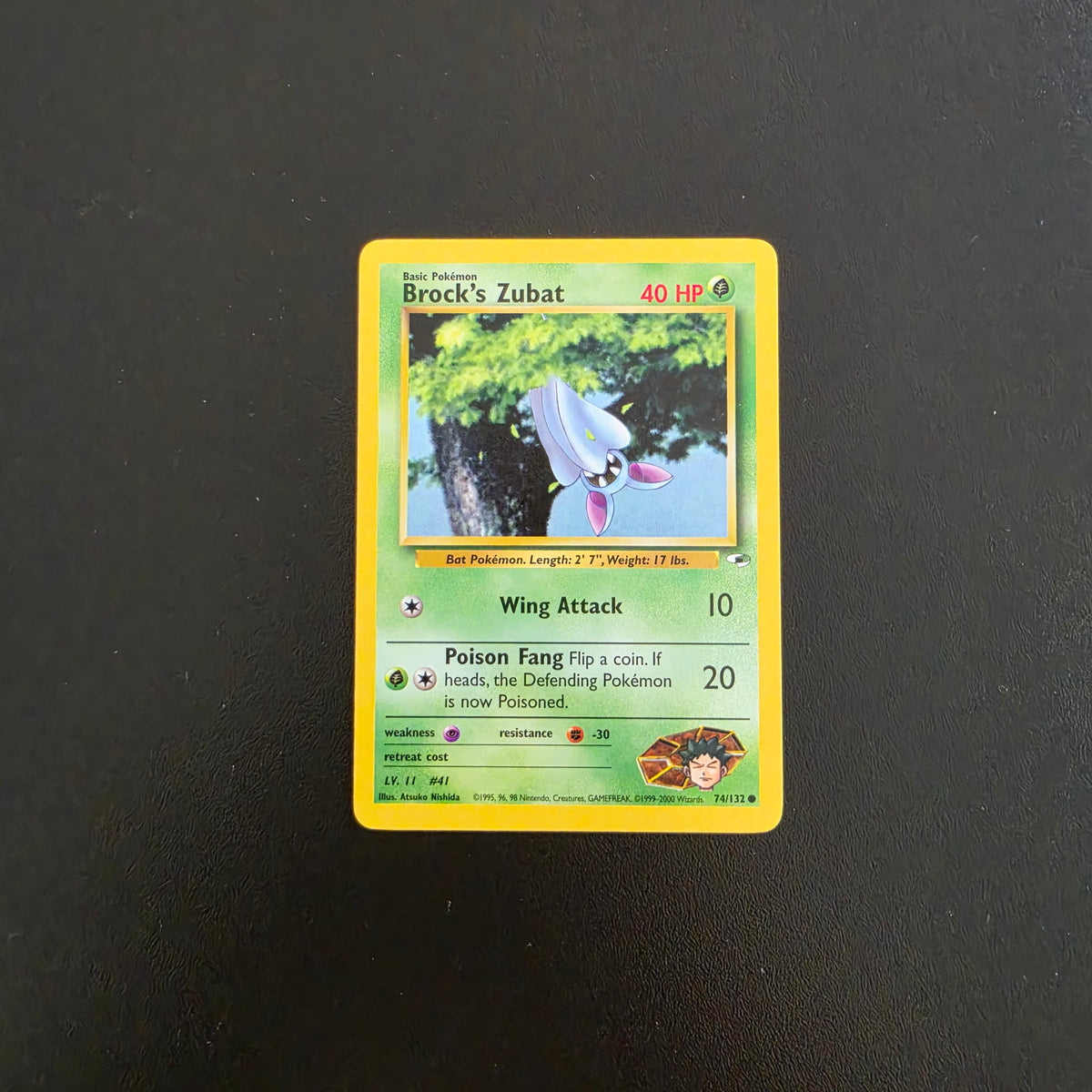 Brock's Zubat