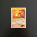 Brock's Sandshrew