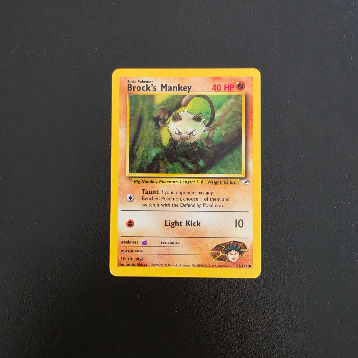 Brock's Manket