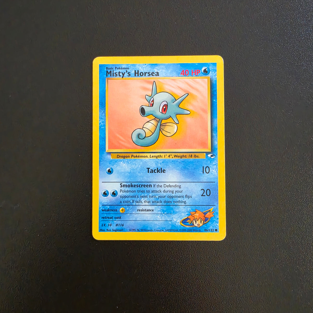 Misty's Horsea