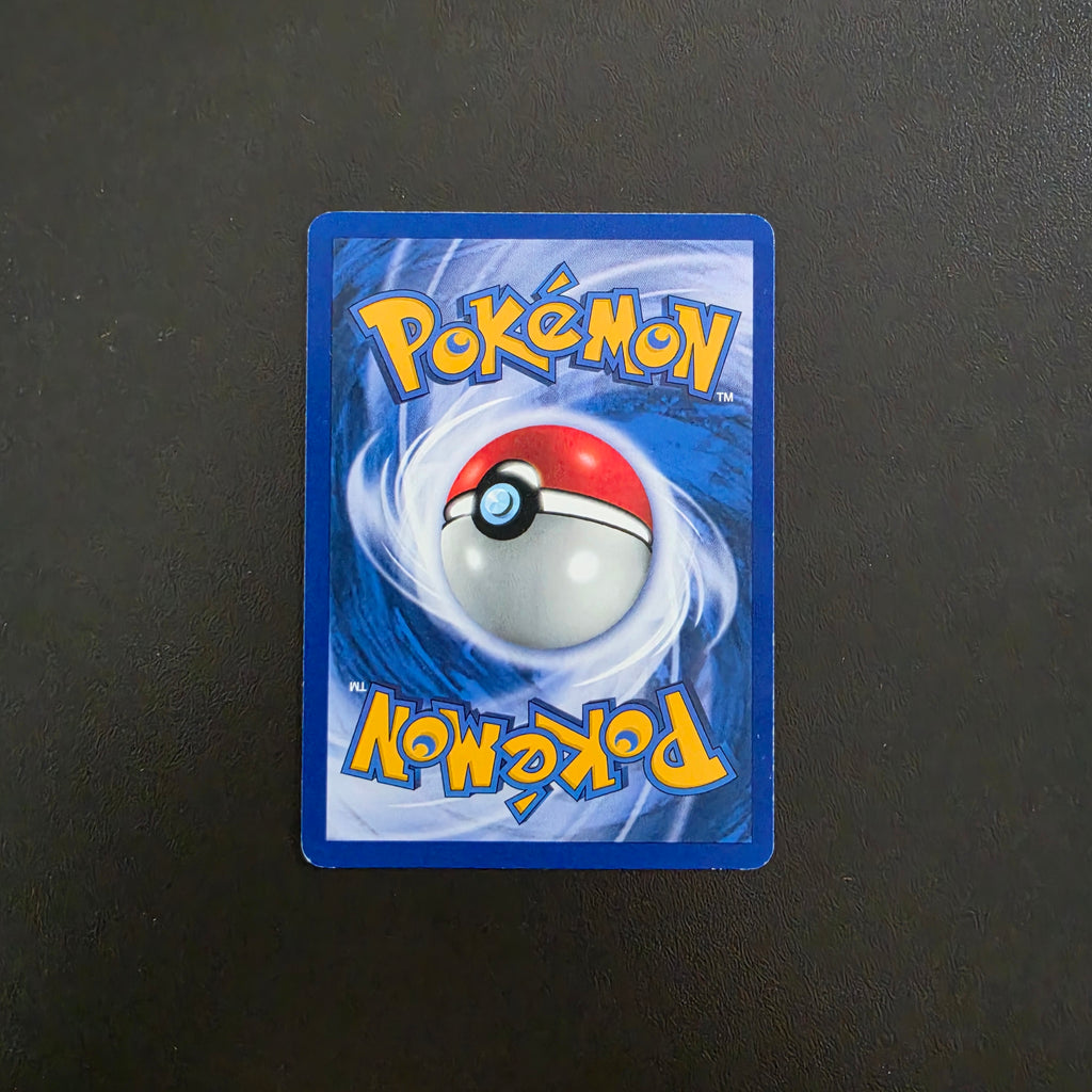 Pewter City Gym