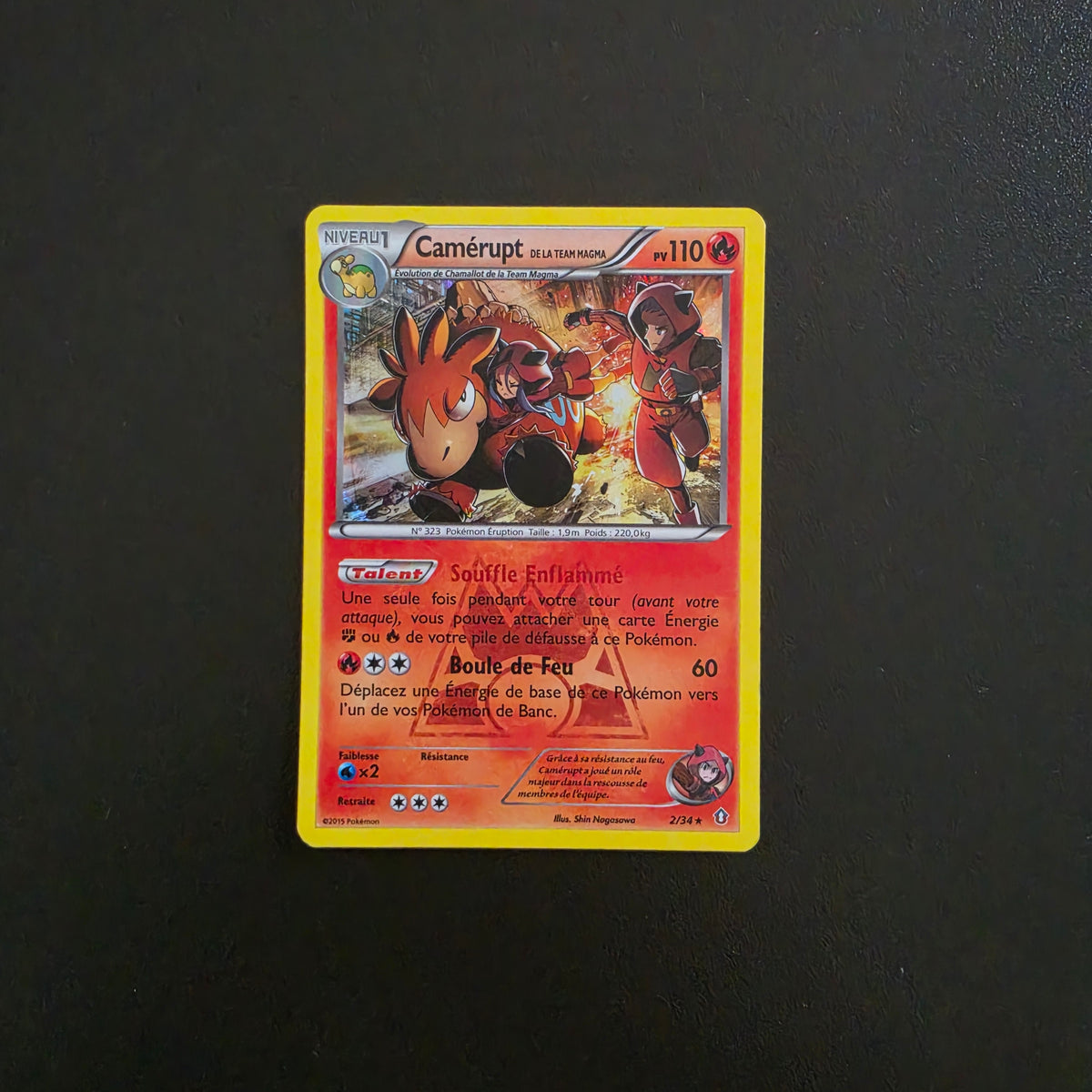 Camérupt de la Team Magma