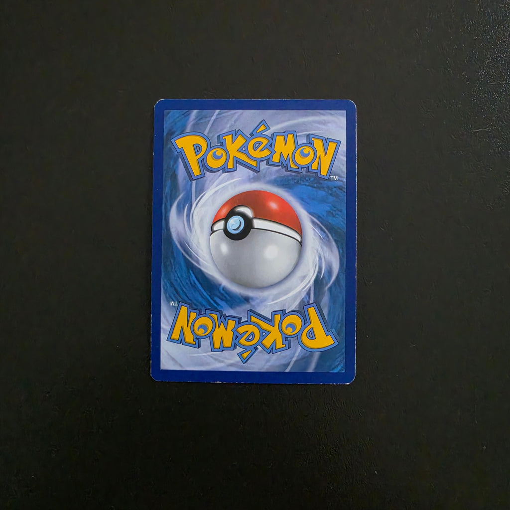 Camérupt de la Team Magma