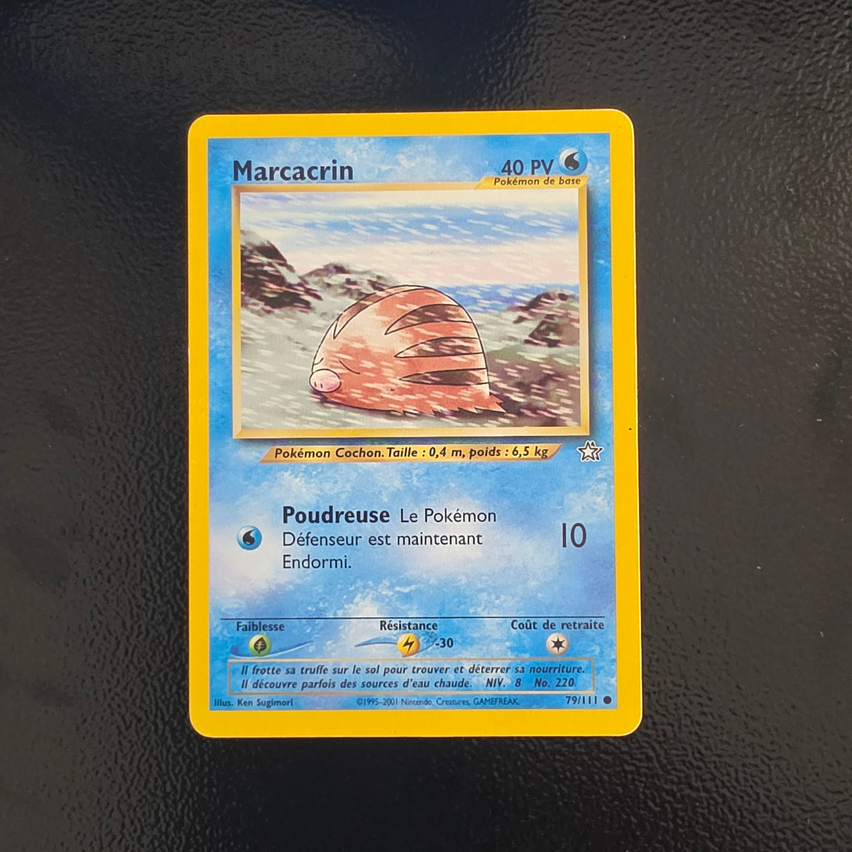 Marcacrin