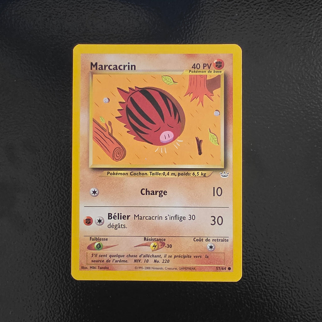 Marcacrin