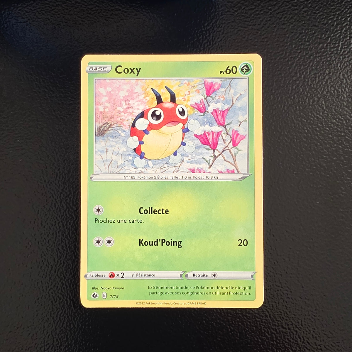 Coxy