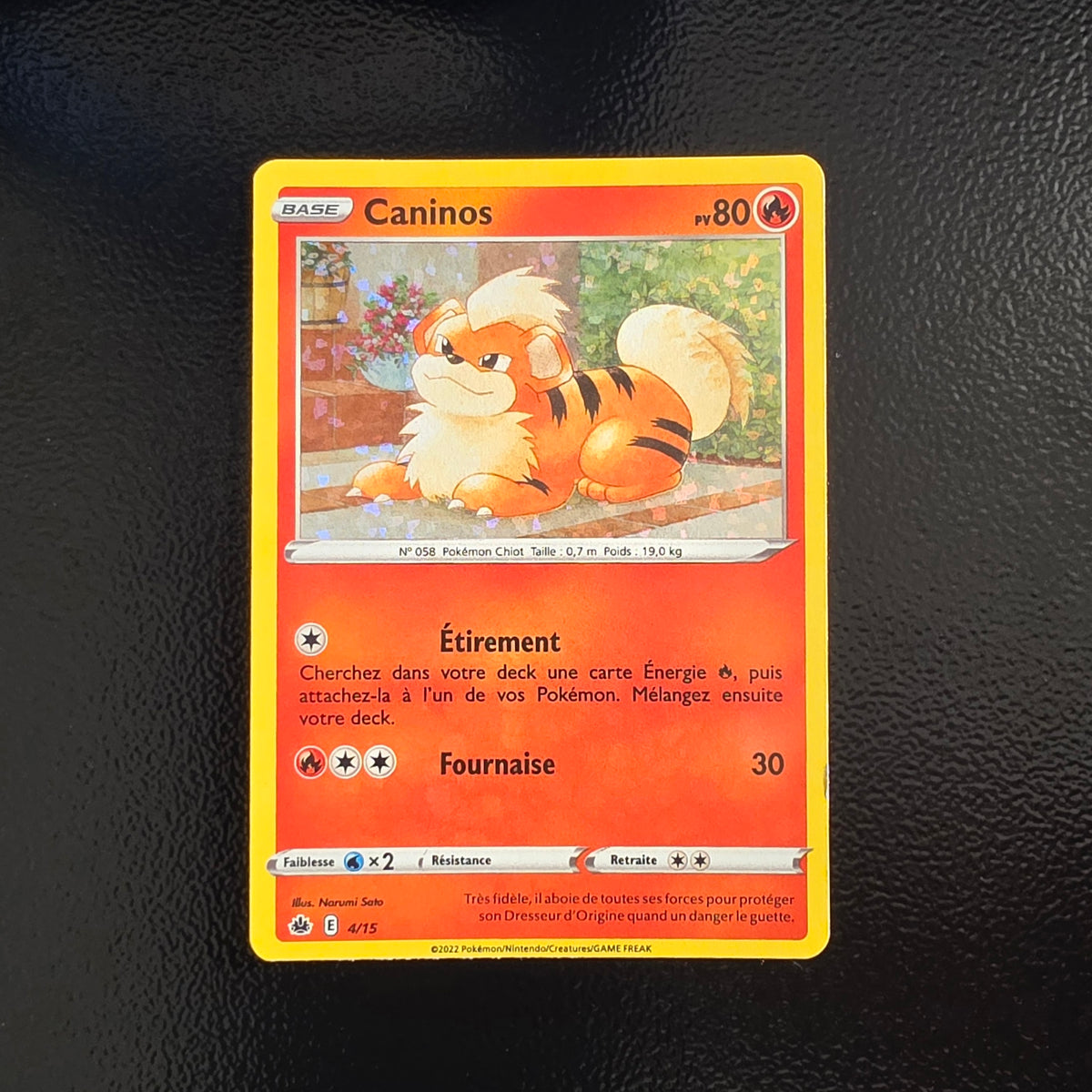 Caninos