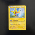 Pikachu Catcheur