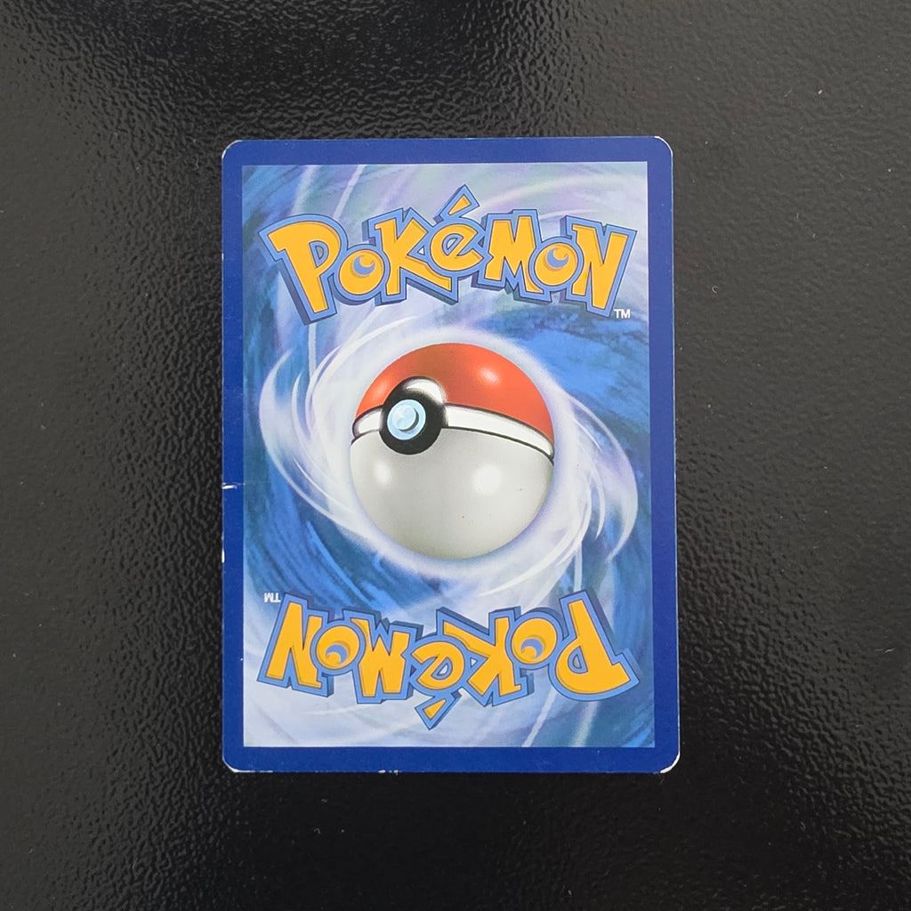 Pikachu Catcheur