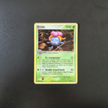Sharpedo Ex (1)
