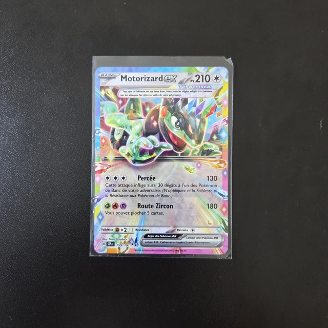 Motorizard EX