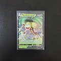 Noadkoko d'Alola V