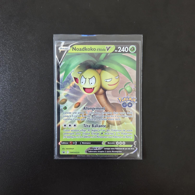 Noadkoko d'Alola V