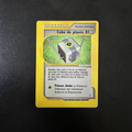 Cube de plante 01