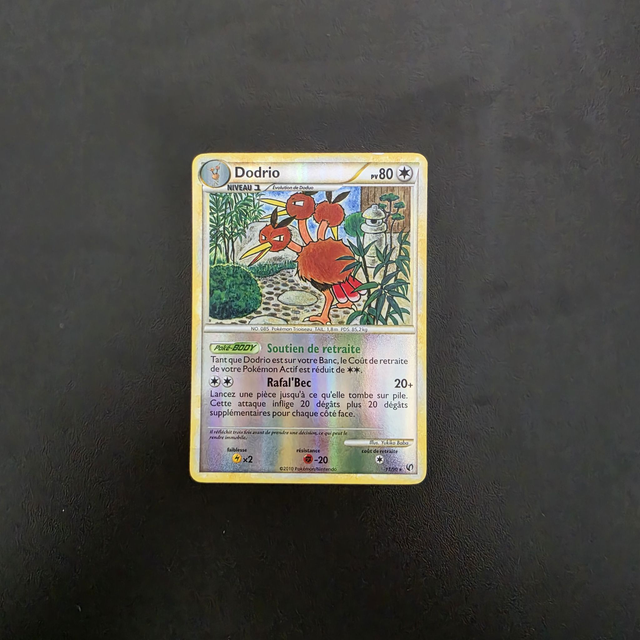 Dodrio